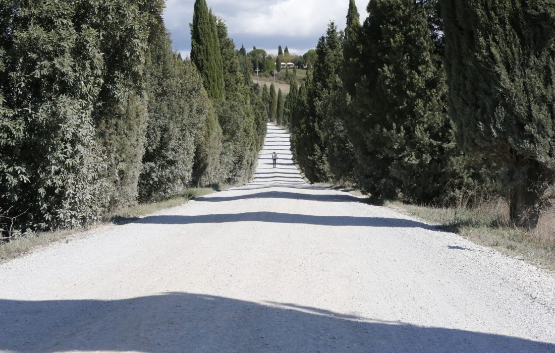Trudie, Shadows, Val d'Orcia, 2019