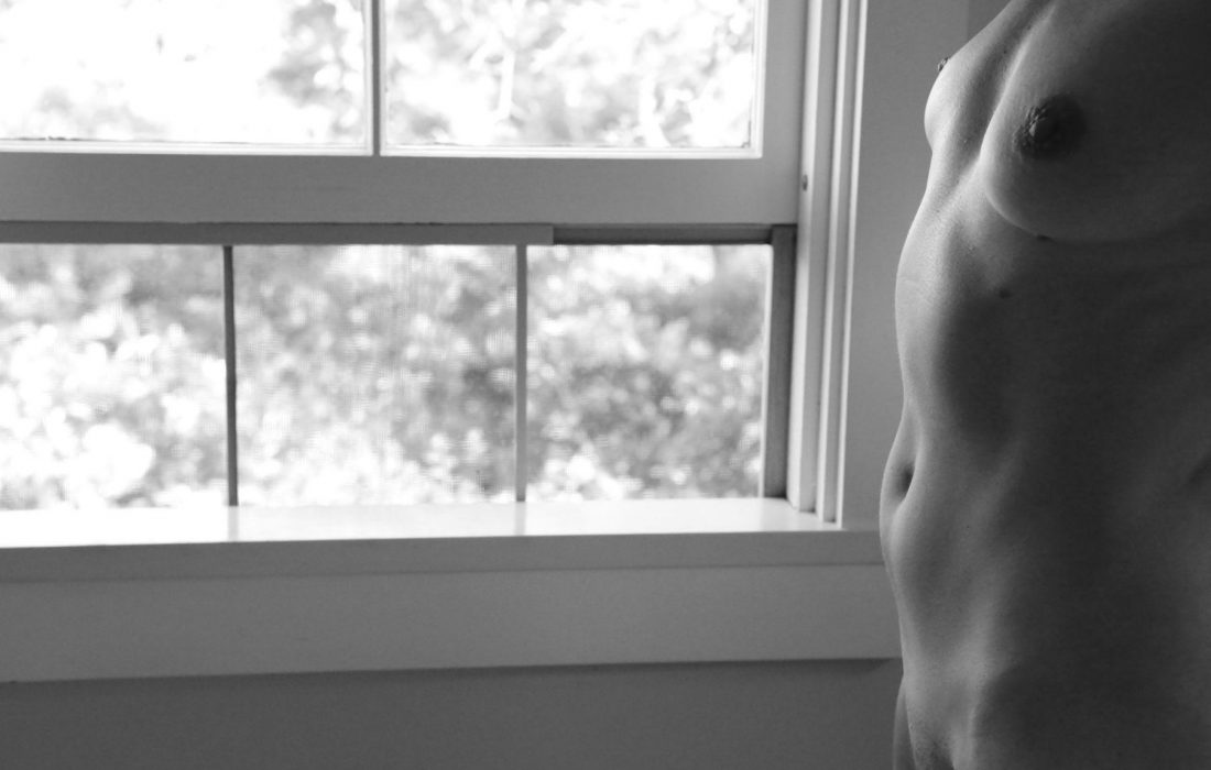 Window Screen & Torso, Nantucket, 2012