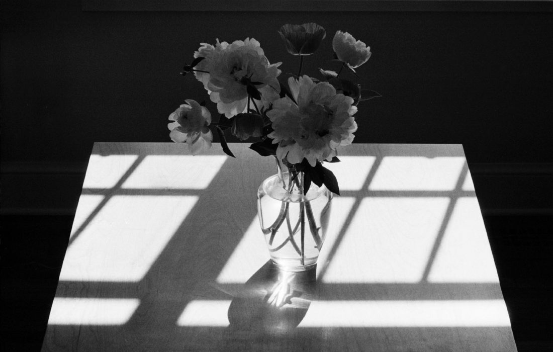 Peonies, 2002