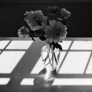 Peonies, 2002