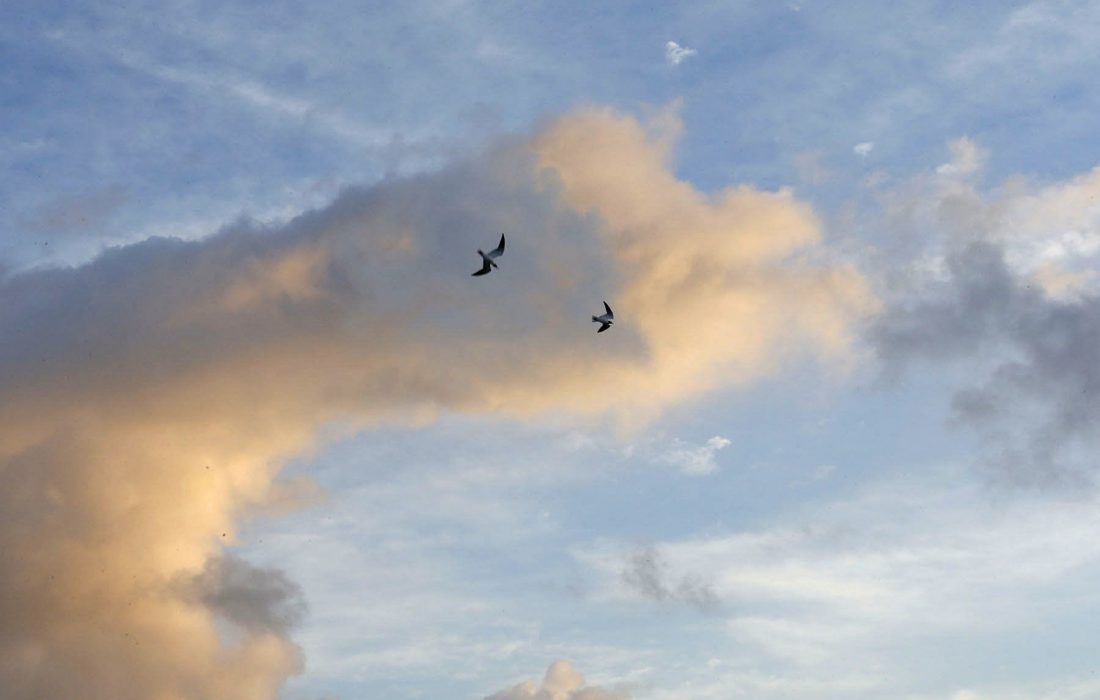 Sunrise, Petit St. Vincent, 2010