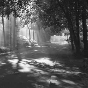 Sedgwick Avenue, 1997